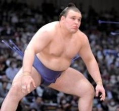 新大関の安青錦は２日目に難敵・義ノ富士と対戦　先場所は電車道で黒星