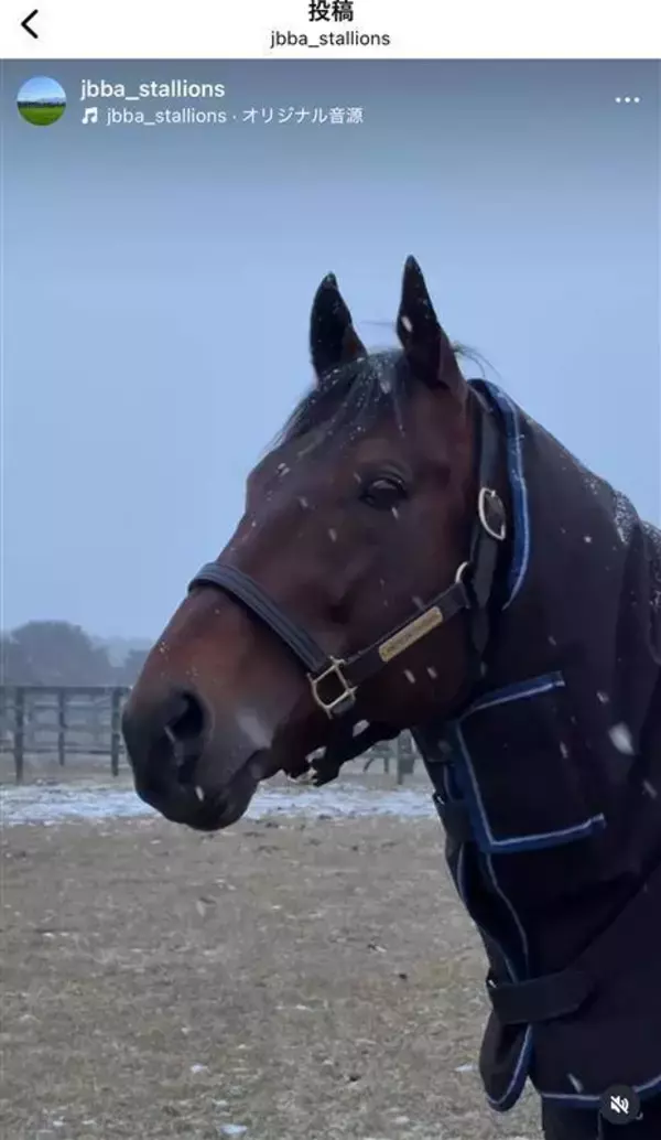 「映画のワンシーンみたい」「イケメン」日本で供用されているアメリカンファラオの最新ショットに熱い視線