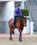 「【日経新春杯】サトノグランツは１１か月ぶり　「休み明けという感じはします」と冷静な友道調教師が感じる成長とは」の画像1