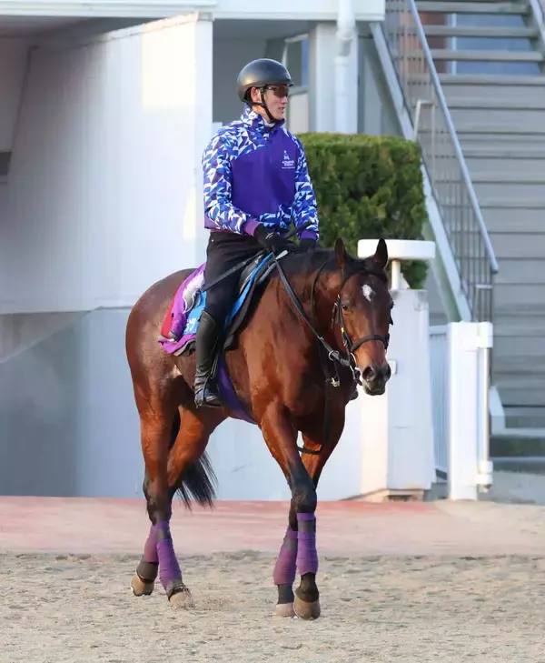 【日経新春杯】サトノグランツは１１か月ぶり　「休み明けという感じはします」と冷静な友道調教師が感じる成長とは