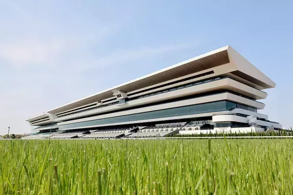 【京都競馬・３１日の馬場】今週からＢコース替わり　芝ダートとも先行有利も･･･