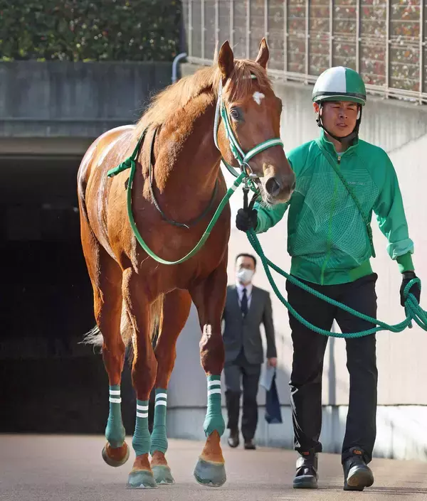 【注目馬動向】セントポーリア賞ＶのラストスマイルはスプリングＳへ　引き続き杉原誠人騎手