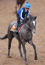 【桜花賞】大橋調教師×田口貫太騎手×元管理馬の初子で師弟初ＪＲＡ重賞Ｖ目指す　ナムラコスモスには「夢はあるよね」
