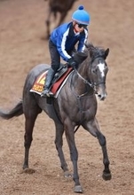 【桜花賞】大橋調教師×田口貫太騎手×元管理馬の初子で師弟初ＪＲＡ重賞Ｖ目指す　ナムラコスモスには「夢はあるよね」