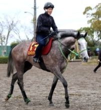 【桜花賞】ロンギングセリーヌは初の輸送も「気性がドッシリしているので」　竹内調教師は意に介さず