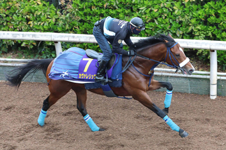 【皐月賞】整いました！カヴァレリッツォが坂路を楽走で万全アピール　「しっかり仕上がったと思う」と陣営も手応え