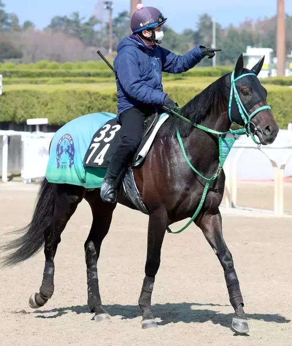 【ケンタッキーダービー】ダノンバーボンがチャーチルダウンズ競馬場で最終追い切り　陣営「ちょうどいい動きだったと思います」