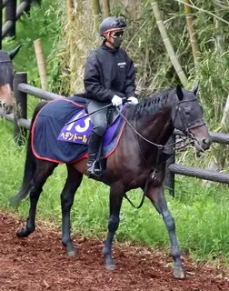 【天皇賞・春】連覇を狙うヘデントールは７枠１２番　木村調教師「決まった枠順で…」