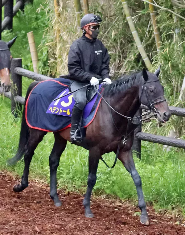 【天皇賞・春】連覇を狙うヘデントールは７枠１２番　木村調教師「決まった枠順で…」