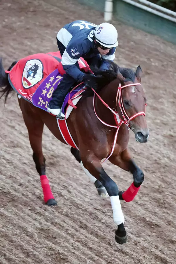愛チャンピオンＳにフォーエバーヤングなどＪＲＡ所属馬３頭が予備登録　海外調教馬はカランダガン、ダリズがエントリー