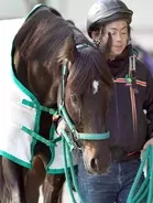 【クイーンエリザベス２世ジュビリーＳ】国内最終追い切りで力強い動き見せたルガルに陣営「だんだん良くなっています」