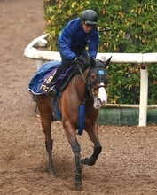 【さきたま杯】武豊騎手のママコチャは８枠１１番　勝てば１９年ぶり４勝目　川田将雅騎手のウィルソンテソーロは６枠７番