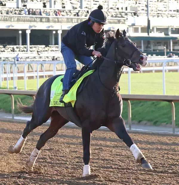 【注目馬動向】ワンダーディーンはジャパンダートクラシック・Ｊｐｎ１での復帰を視野　テーオーパスワードはエルムＳへ