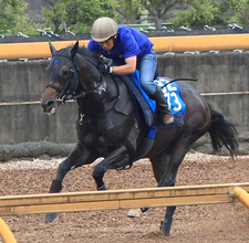 【札幌日経賞】先週小倉記念Ｖの橋田厩舎は良血馬アマキヒがスタンバイ　陣営「勢いに乗れるといいよね（笑）」