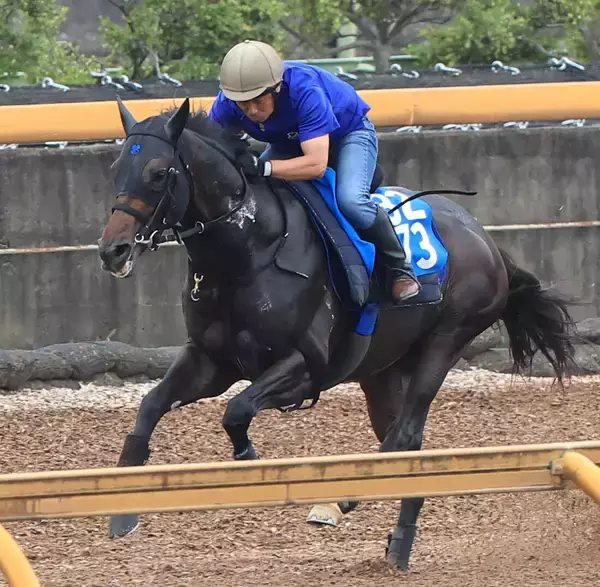 【札幌日経賞】先週小倉記念Ｖの橋田厩舎は良血馬アマキヒがスタンバイ　陣営「勢いに乗れるといいよね（笑）」
