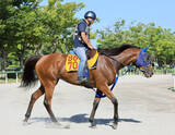 「【中京記念・イシゴーの特注馬】カネラフィーナの左回りでのパフォーマンス向上期待　久々のマイル戦がポイントに」の画像1