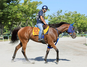 【中京記念・イシゴーの特注馬】カネラフィーナの左回りでのパフォーマンス向上期待　久々のマイル戦がポイントに
