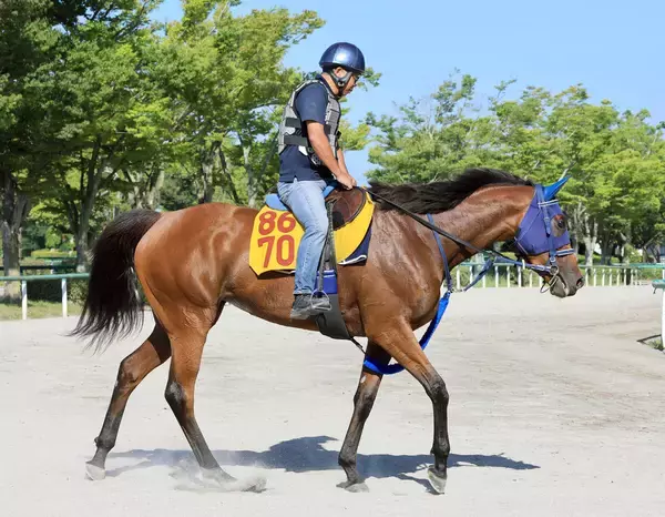 【中京記念・イシゴーの特注馬】カネラフィーナの左回りでのパフォーマンス向上期待　久々のマイル戦がポイントに