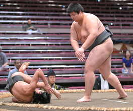 異例の体重５０キロ台　現役最軽量力士・新道が前相撲デビュー「軽いのはうれしいことじゃない。強いことで有名になりたい」