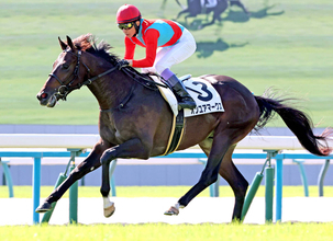 武豊「走りがいいですね」オンユアマークス２歳コースレコードで未勝利戦快勝