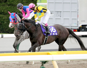 昨年の阪神牝馬Ｓの覇者デゼルが引退、繁殖入りへ　左前脚に浅屈腱炎を発症
