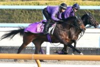 【ＰＯＧ】武豊騎手騎乗のコールラヴが上々の動き　１２月２０日の阪神でデビュー