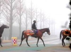 【有馬記念・考察】１番人気濃厚のレガレイラだが牝馬のリピーターは…　連勝中でも気になるポイント