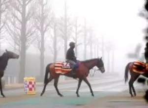 【有馬記念・考察】１番人気濃厚のレガレイラだが牝馬のリピーターは…　連勝中でも気になるポイント