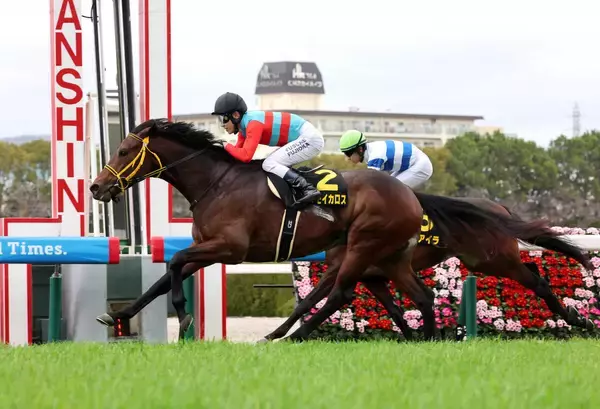 【マーガレットＳ】藤岡佑介騎手がラストデーにＶ「いいところで乗せてもらいました」　父の管理馬タマモイカロスでＪＲＡ通算１１１０勝　