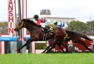 【阪神１０Ｒ・マーガレットＳ】藤岡佑介騎手がラストデーにＶ　父の管理馬タマモイカロスでＪＲＡ通算１１１０勝　「いいところで乗せてもらいました」