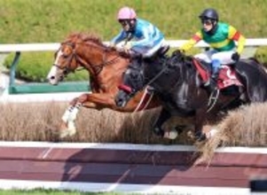 【阪神スプリングＪ】ディナースタが王者エコロデュエルを鼻差退け重賞初Ｖ　高田騎手は歴代単独トップとなる障害重賞２７勝目