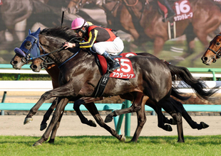 スプリングＳ上位２頭の鞍上に過怠金の制裁　被害馬は惜しくも皐月賞の優先出走権を逃した４、５着馬