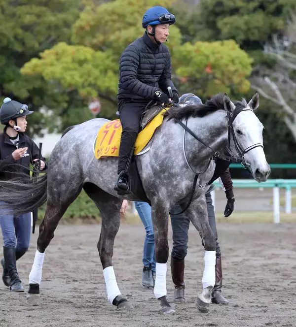【阪神牝馬Ｓ】１週前に美浦・Ｗコースで横山典弘騎手を背に猛時計マーク　カピリナに田島調教師「体調がいいということ」