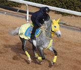 「日曜福島競馬場の注目激走馬…福島１１Ｒ福島民報杯（Ｌ）」の画像1