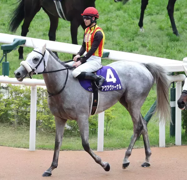 【天皇賞・春】アクアヴァーナルは４着　７３年ぶりの牝馬制覇ならずも松山弘平騎手「最後も一瞬、いけるかなと」