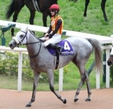 【天皇賞・春】アクアヴァーナルは４着　７３年ぶりの牝馬制覇ならずも松山弘平騎手「最後も一瞬、いけるかなと」