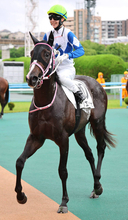 【ひまわり賞・山下の特注馬】永島まなみ騎手とリエーヴェのコンビに期待　