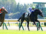 「【新潟３Ｒ・２歳新馬】３番人気コラリオンがメンバー最速の末脚でＶ　田辺裕信騎手「１番人気になるかと思っていた」」の画像1