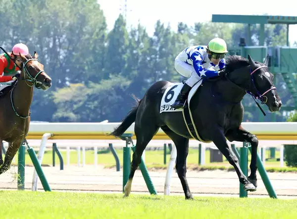 【新潟３Ｒ・２歳新馬】３番人気コラリオンがメンバー最速の末脚でＶ　田辺裕信騎手「１番人気になるかと思っていた」