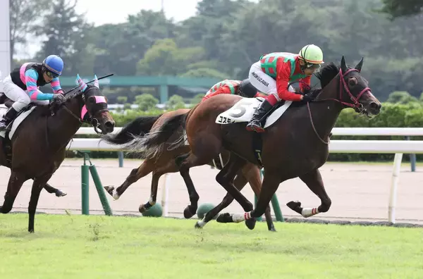 【新潟１Ｒ・２歳未勝利】コスモイェーガーが２戦目で順当勝ち　菊沢一樹騎手「ポテンシャル感じていた」
