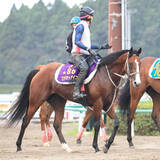 「【新潟記念】ルメール騎手騎乗の３歳マイル王・ロデオドライブは３枠３番　川田将雅騎手騎乗のダノンシーマは７枠８番」の画像1