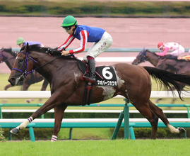 【カンナＳ】ビッグアーサー産駒が上位独占！　ジオパークカツキで横山武史騎手は今年オープン初勝利「これからの馬」