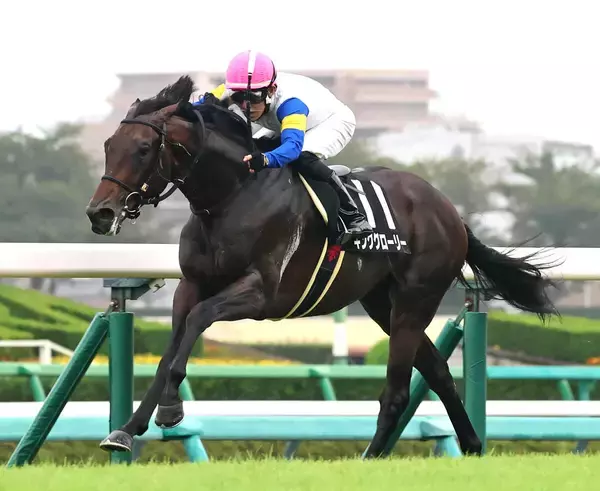 【九十九里特別】キンググローリーが丹内祐次騎手の鮮やかな手綱さばきで勝利　目標の菊花賞へ弾み