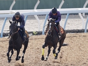 【秋華賞】ドリームコアは１週前から一変し確実に上昇　田中博調教師「競馬に行って促したときに反応が出るイメージ」