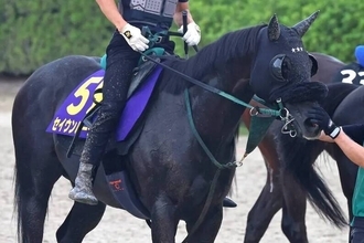 【天皇賞・秋】ラストランのセイウンハーデスは上昇気配　橋口調教師「馬体の張りも上昇」