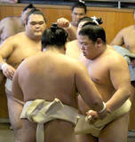 「幕内・平戸海、新年初稽古で豊昇龍らと１８番「今年は三役、２桁勝利目指して頑張りたい」」の画像1