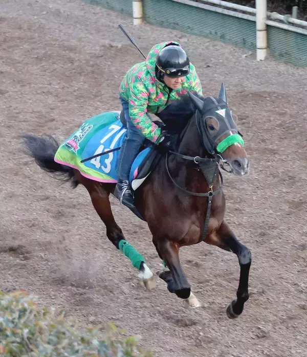 【ＡＪＣＣ】「善戦マンじゃなくて…」強い４歳世代でクラシック皆勤のジョバンニに杉山晴調教師は期待