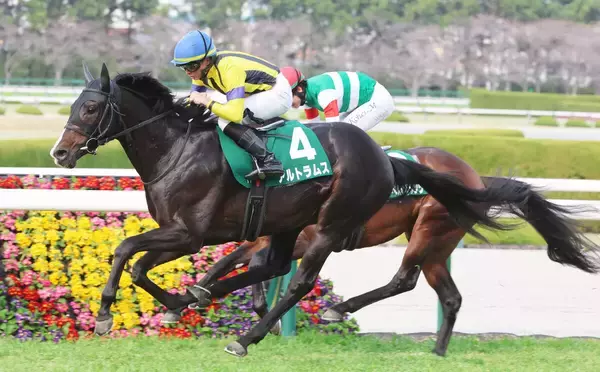 【毎日杯・レースメモ】岩田望来騎手が６回目の騎乗で初勝利　２２年から５年連続の重賞勝利