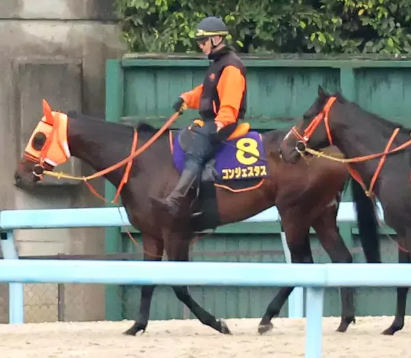 【日本ダービー・日曜気配】無傷３連勝中のコンジェスタスは坂路で併せ馬を消化　高野調教師「疲労がないということで安心」