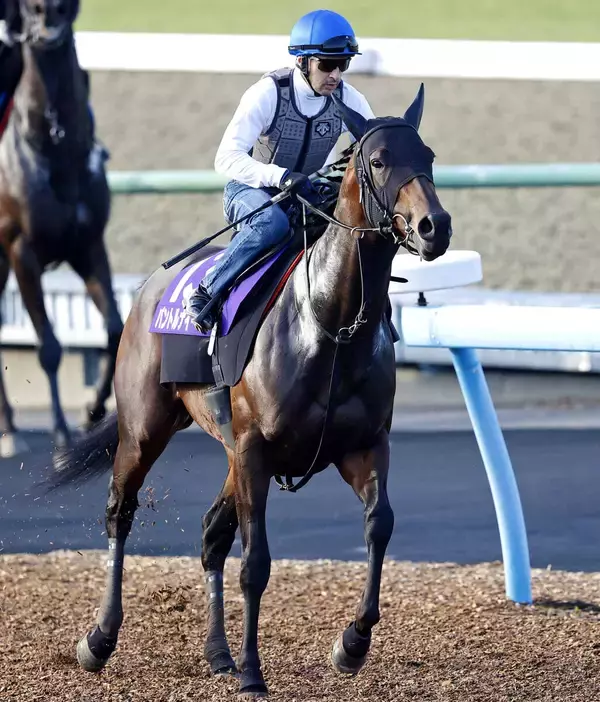 【日本ダービー・土曜気配】木村調教師「残りの時間を無事に…」パントルナイーフは闘志秘め登坂　皐月賞１４着から反撃へ